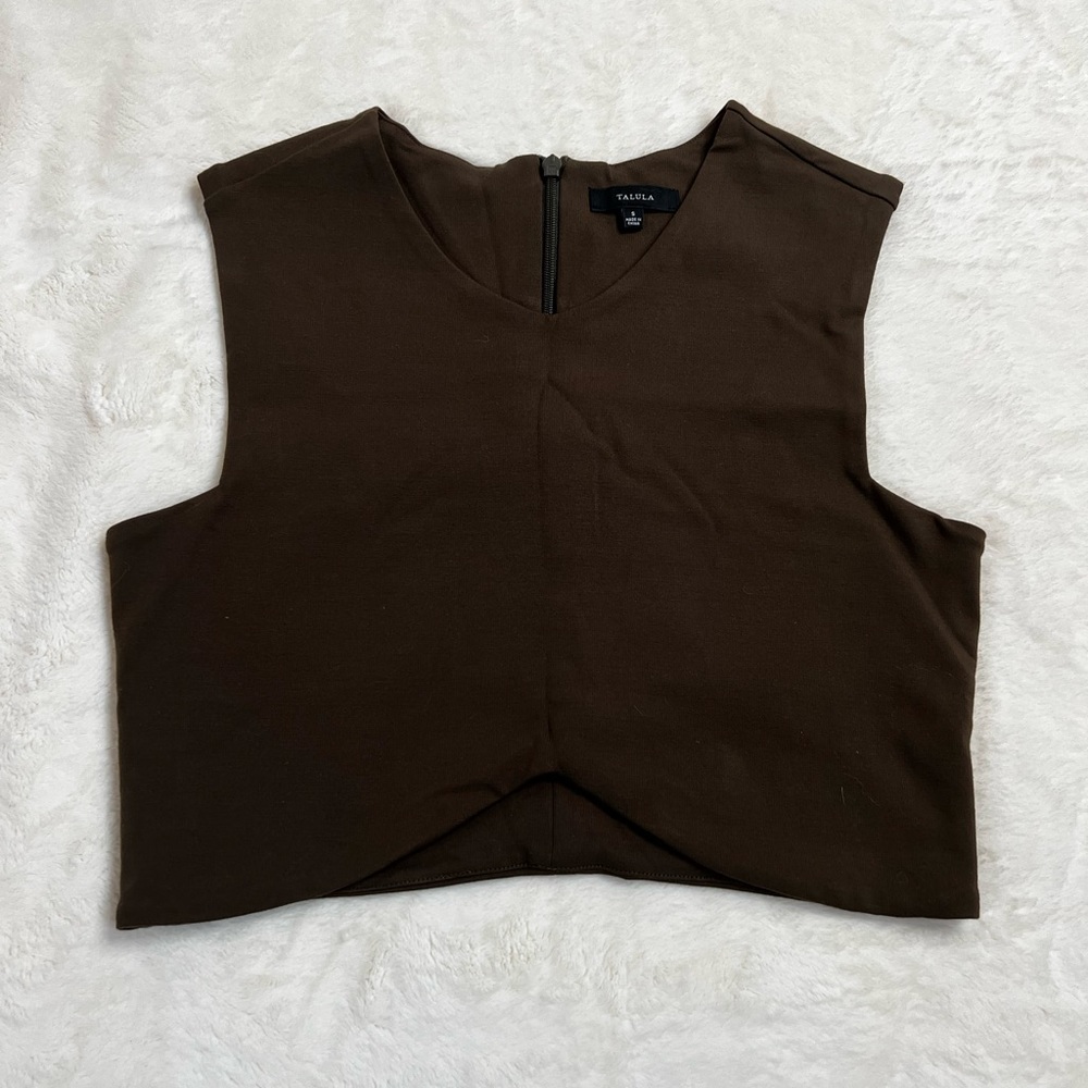 Aritzia Cropped Structured Top